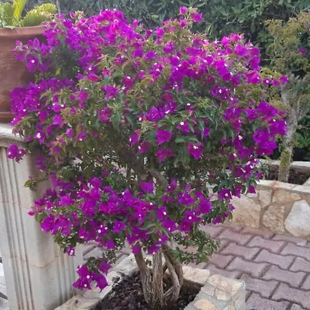 Vacanze Fusillo Rosina Vieste